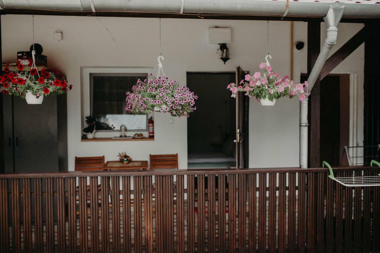 Paulaapartment&Rooms Oradea Dış mekan fotoğraf